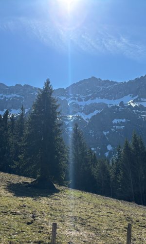 KW15_Eigenthal53jpg